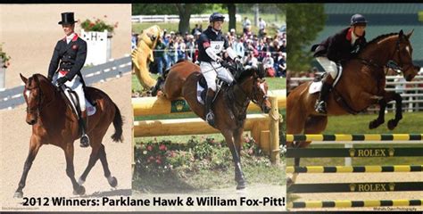 rolex eventing horses for sale